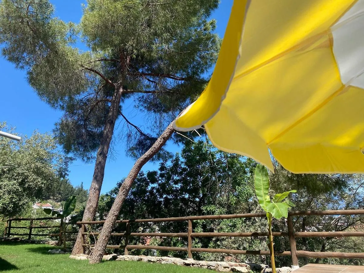 Kaktus Suites 1 Fethiye Holiday home